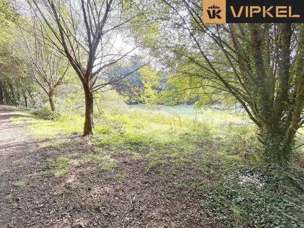 Terreno en a Veiga