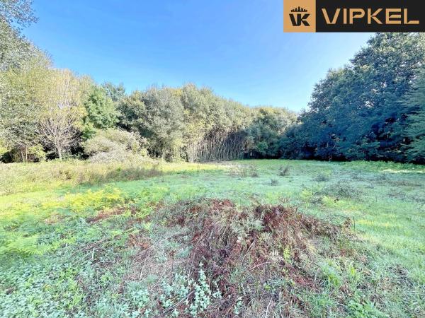 Terreno en a Veiga