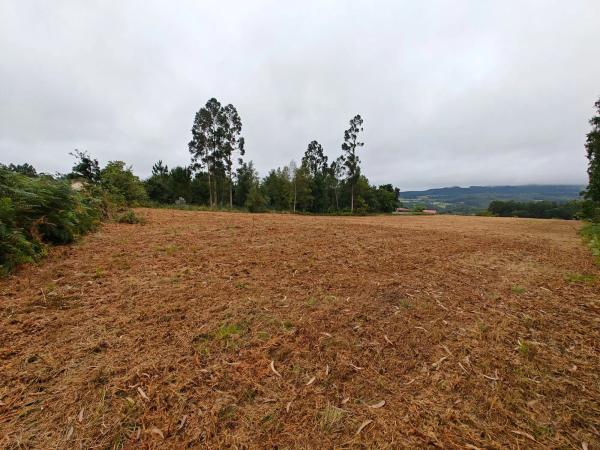 Terreno en Lugar Francos