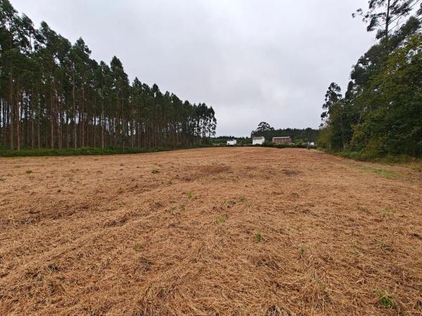 Terreno en Lugar Francos