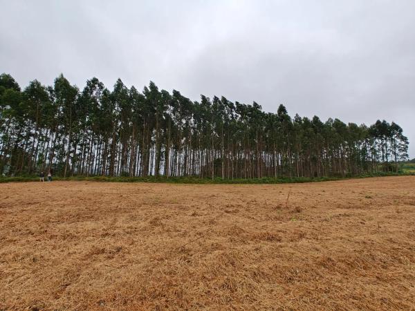 Terreno en Lugar Francos