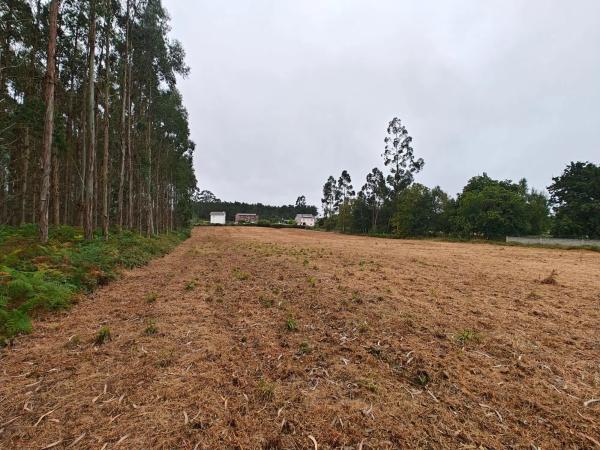 Terreno en Lugar Francos
