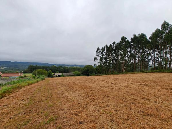 Terreno en Lugar Francos