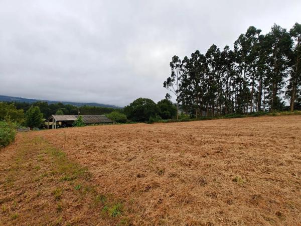 Terreno en Lugar Francos