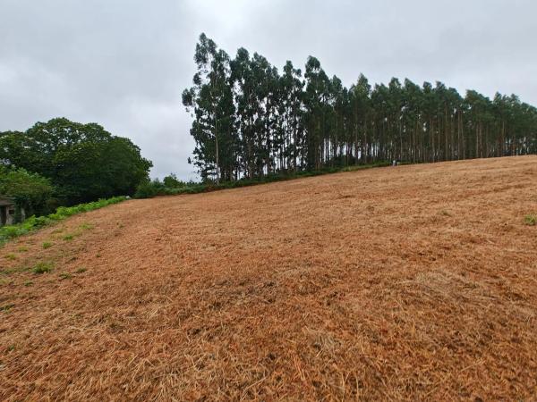 Terreno en Lugar Francos
