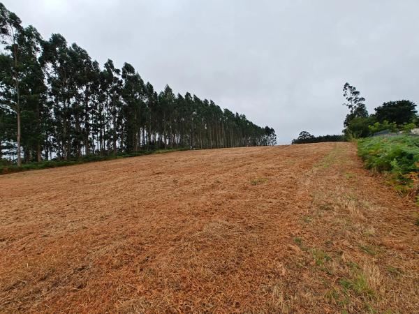 Terreno en Lugar Francos