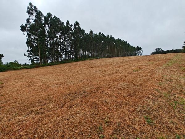 Terreno en Lugar Francos