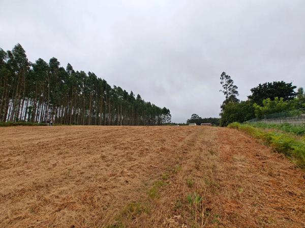 Terreno en Lugar Francos