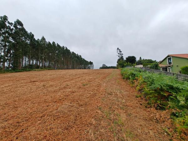 Terreno en Lugar Francos