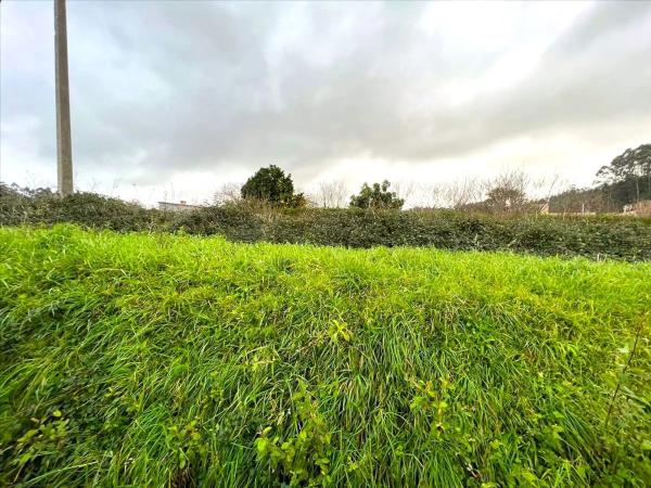 Terreno en calle Areosa