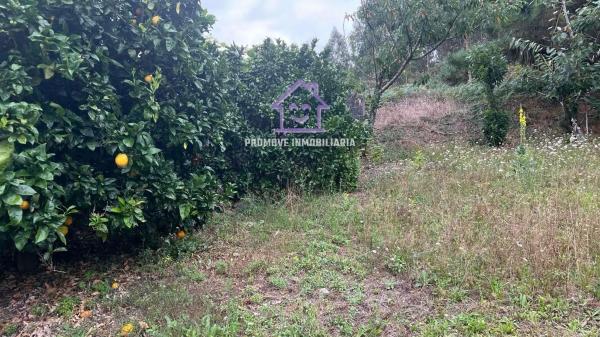 Terreno en Loureda-Lañas-Barrañán