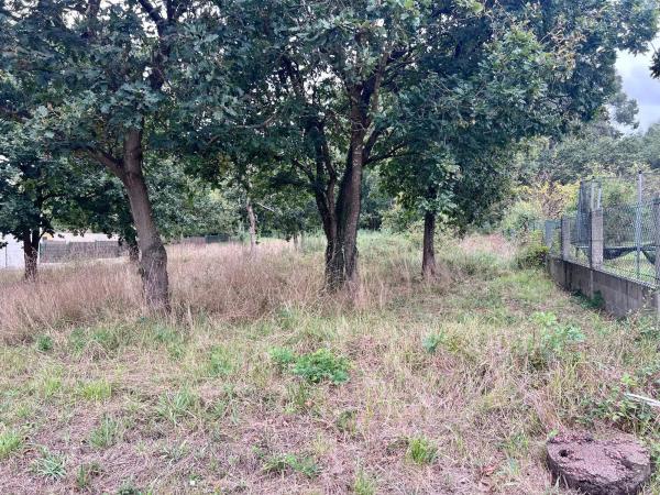 Terreno en Lugar Maianca