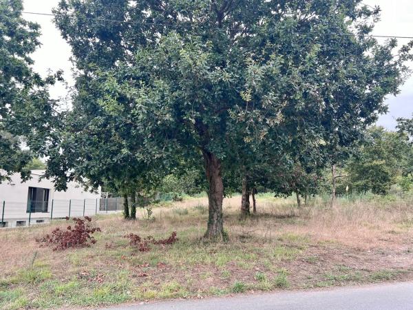 Terreno en Lugar Maianca
