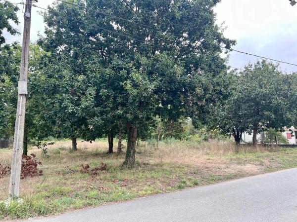 Terreno en Lugar Maianca
