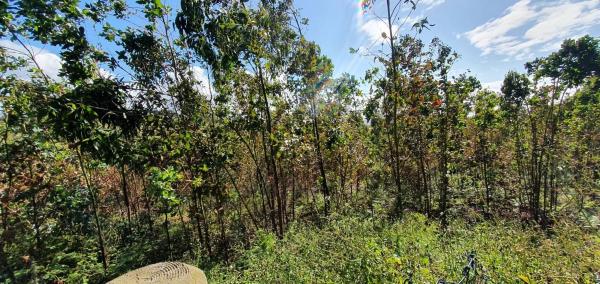 Terreno en Lindante con Parque Forestal de Monticaño. s/n sn