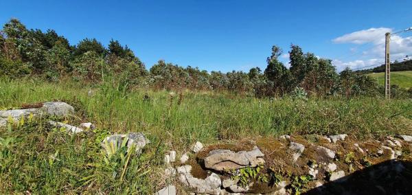 Terreno en Lindante con Parque Forestal de Monticaño. s/n sn