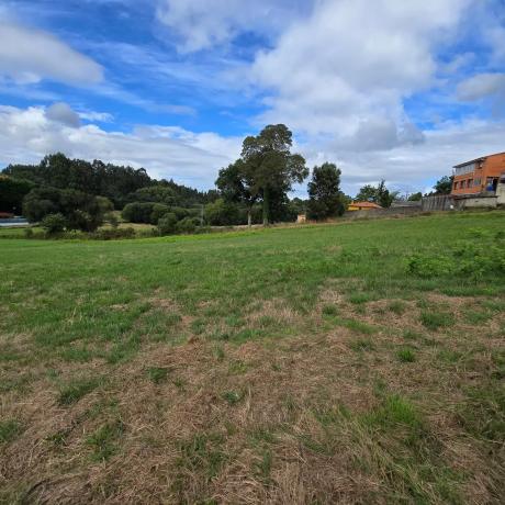 Terreno en calle Monte