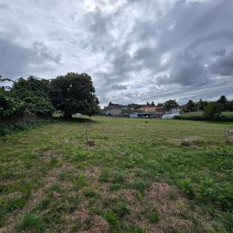 Terreno en calle Monte