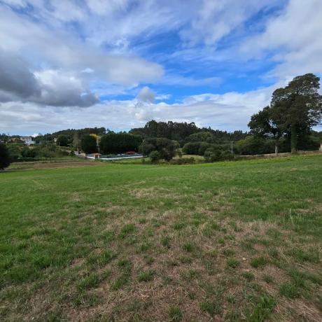 Terreno en calle Monte