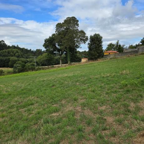 Terreno en calle Monte