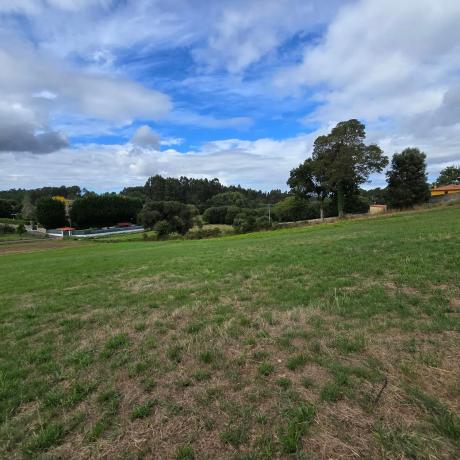 Terreno en calle Monte