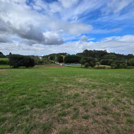 Terreno en calle Monte