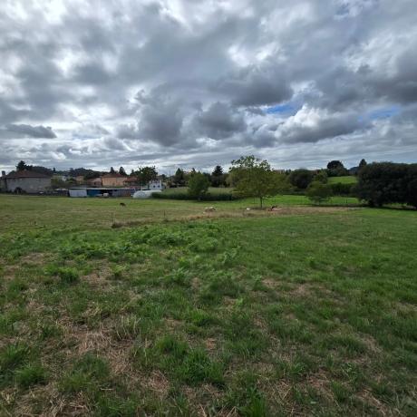 Terreno en calle Monte