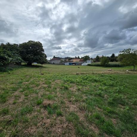 Terreno en calle Monte