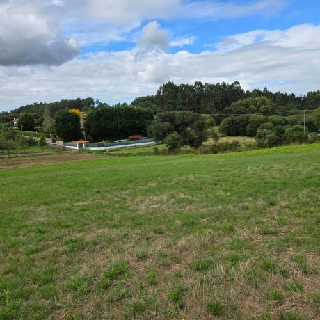 Terreno en calle Monte
