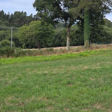 Terreno en calle Monte