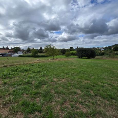 Terreno en calle Monte