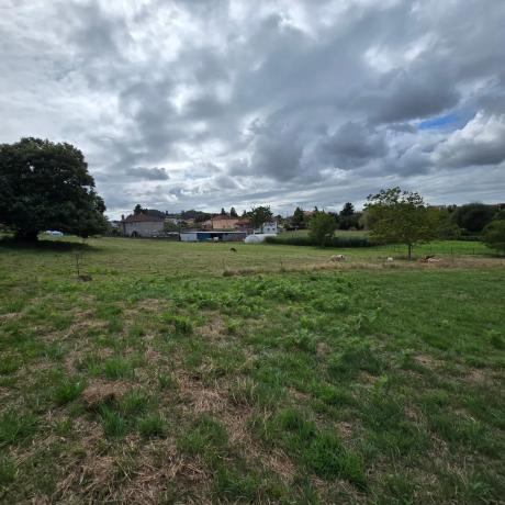 Terreno en calle Monte