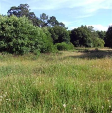 Terreno en Quintan s/n