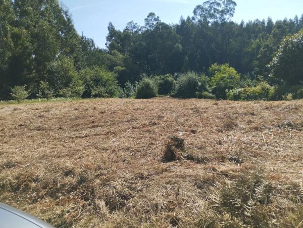 Terreno en Azoreira s/n