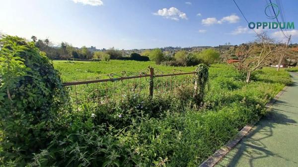 Terreno en Lugar Carta
