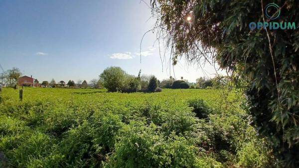 Terreno en Lugar Carta