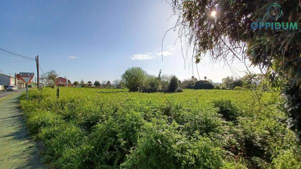 Terreno en Lugar Carta