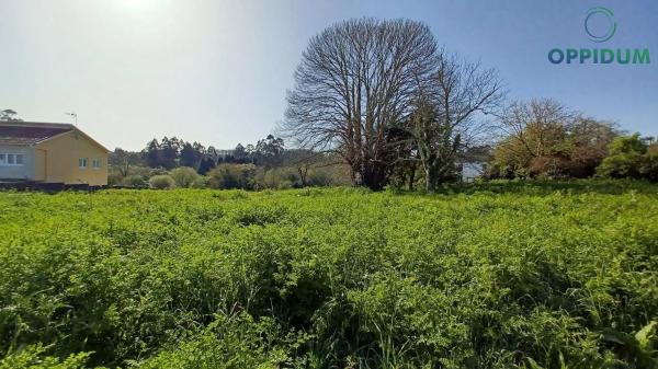 Terreno en Lugar Carta