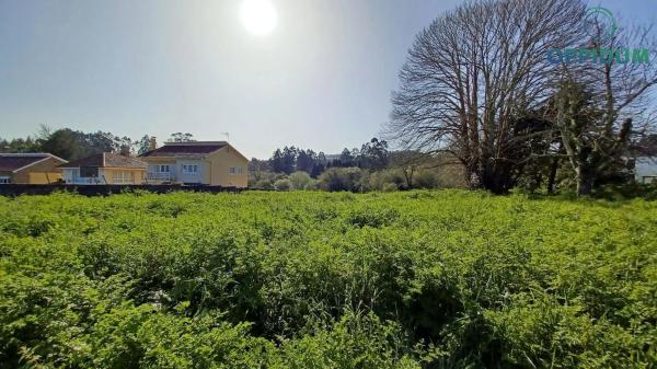 Terreno en Lugar Carta