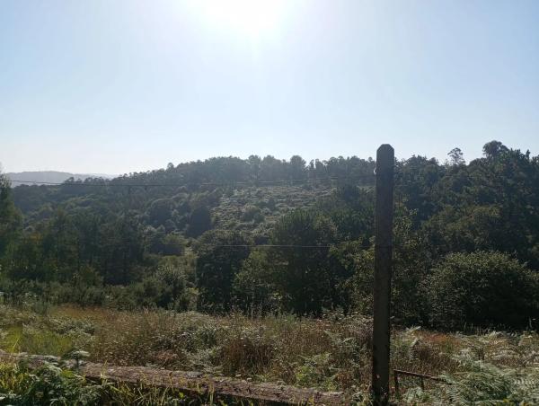 Terreno en Polígono 21 Parcela 228, 21