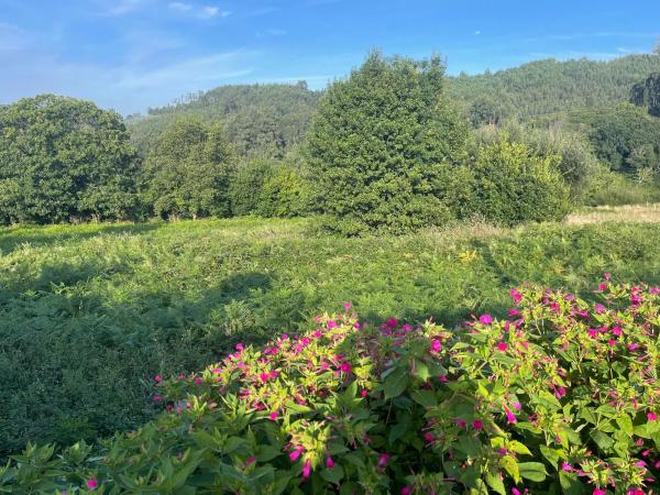 Terreno en Hervés s/n