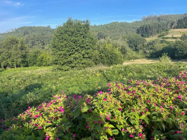 Terreno en Hervés s/n