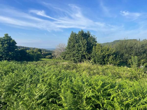 Terreno en Hervés s/n