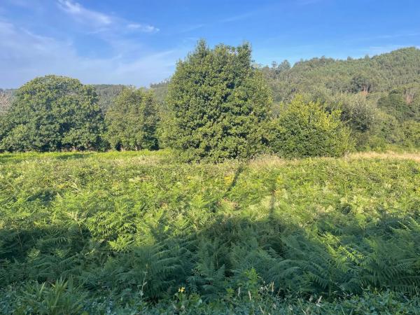 Terreno en Hervés s/n