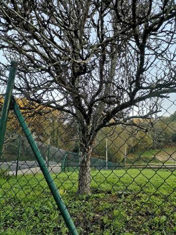 Terreno en Lugar de Mercurín, 27