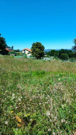 Terreno en Aldea Cimas, 4