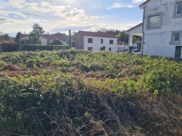 Terreno en calle Tierno Galván
