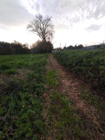 Terreno en Dexo-Lorbé