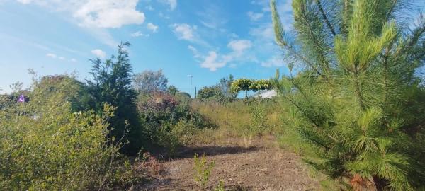 Terreno en calle Colombia