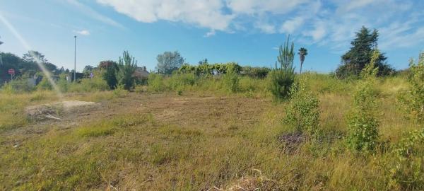 Terreno en calle Colombia